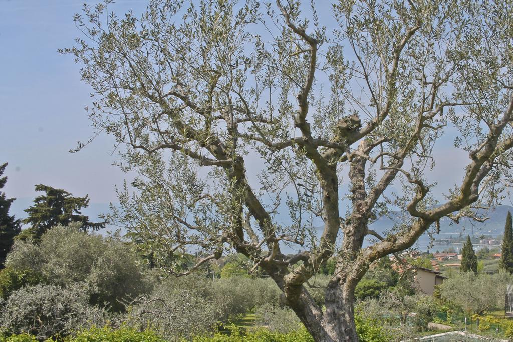 Lovely Villa Elena - Garda Lake バルドリーノ エクステリア 写真